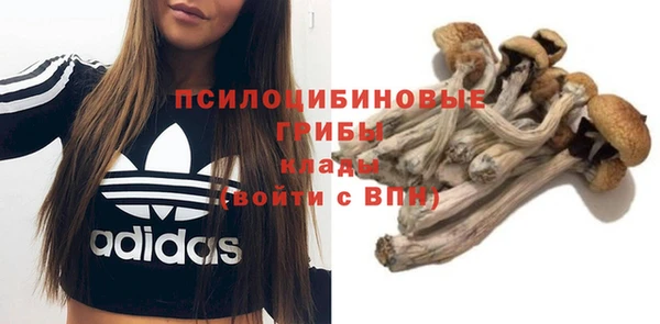 марки nbome Верея